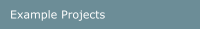 Example Projects